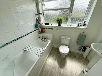 Picture 12